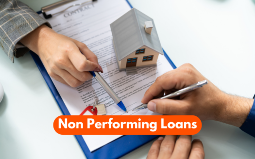 Non Performing Loans