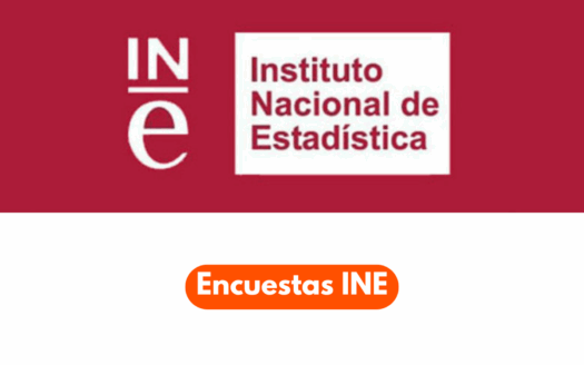 Encuestas INE | Patrimonial