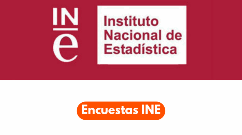 Encuestas INE | Patrimonial